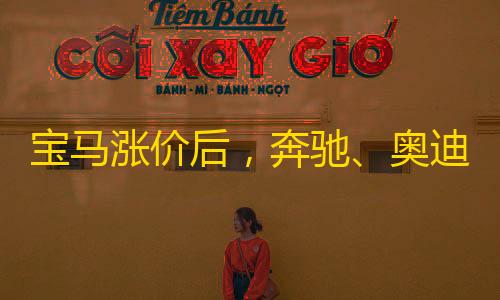 火影修改器(作弊菜单)宝马涨价后，奔驰、奥迪跟风�，一般合资品牌会涨价吗？国产有哪些平替
？